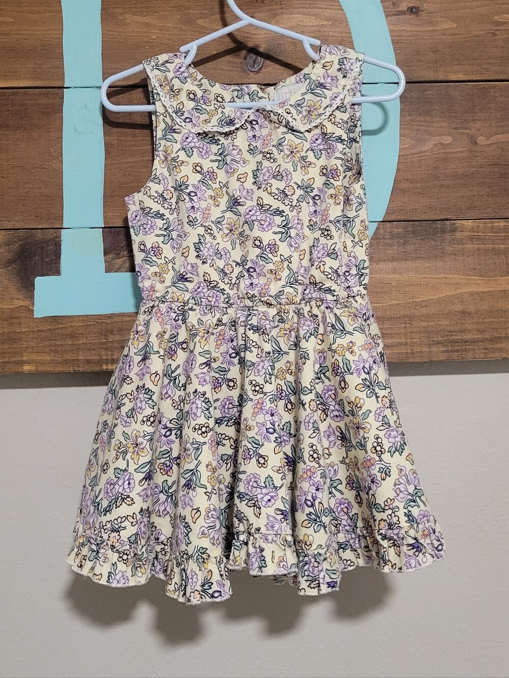 Little Minis Ditzy Floral Sleeveless Petter Pan Collar Ruffled Hem Dress Size 3t